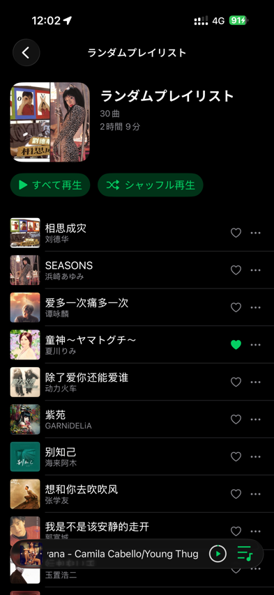 Time Player 3.0 日本語画面 4